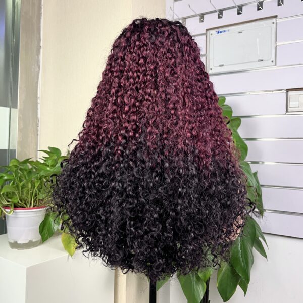 Ombre 5x5 Glueless Double Drawn Pissy Curl Transparent Lace Closure Wig - Image 4